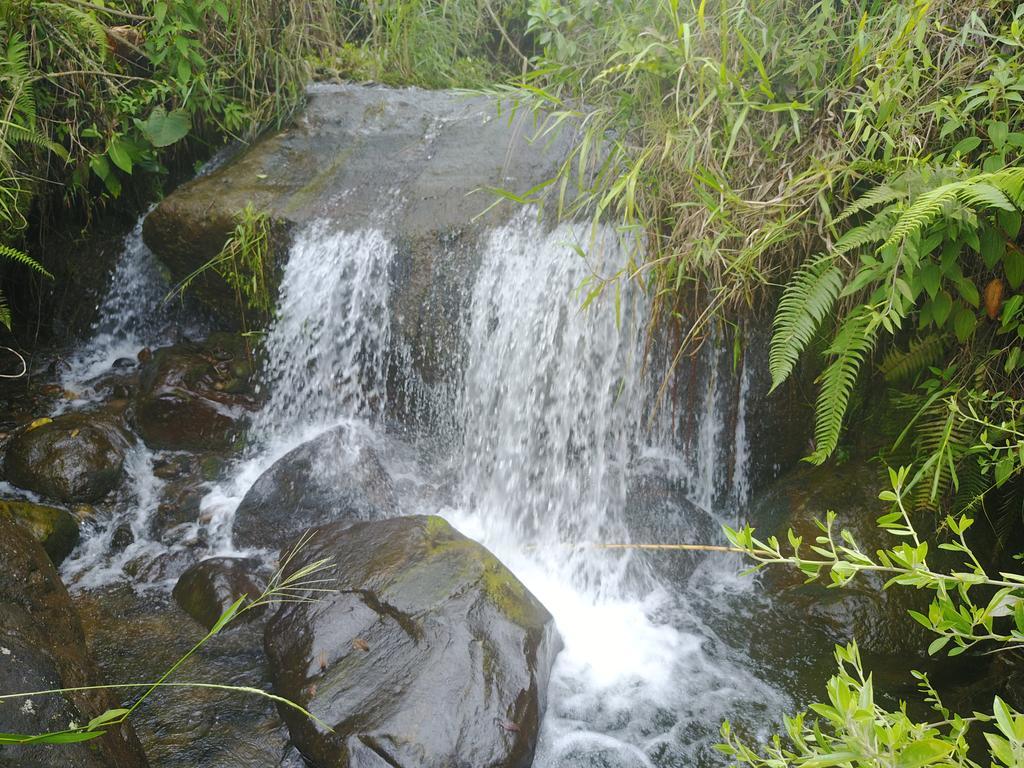 La Herradura *